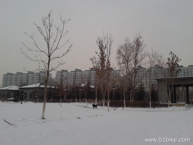 20131213_100854.jpg