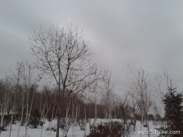 20131217_093419.jpg