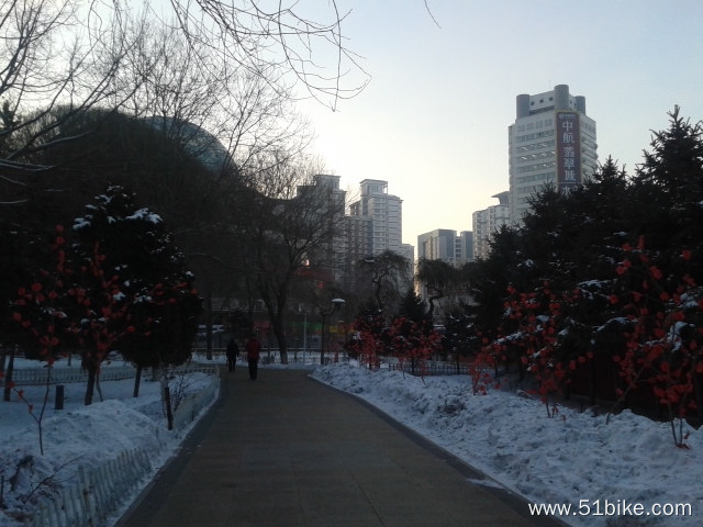 20140102_095237.jpg