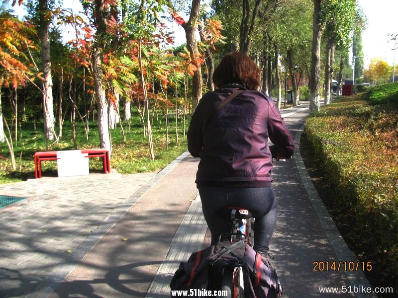 2014.10.15迎宾路上的自行车道 005.jpg