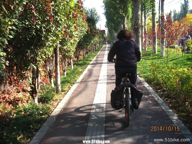 2014.10.15迎宾路上的自行车道 007.jpg
