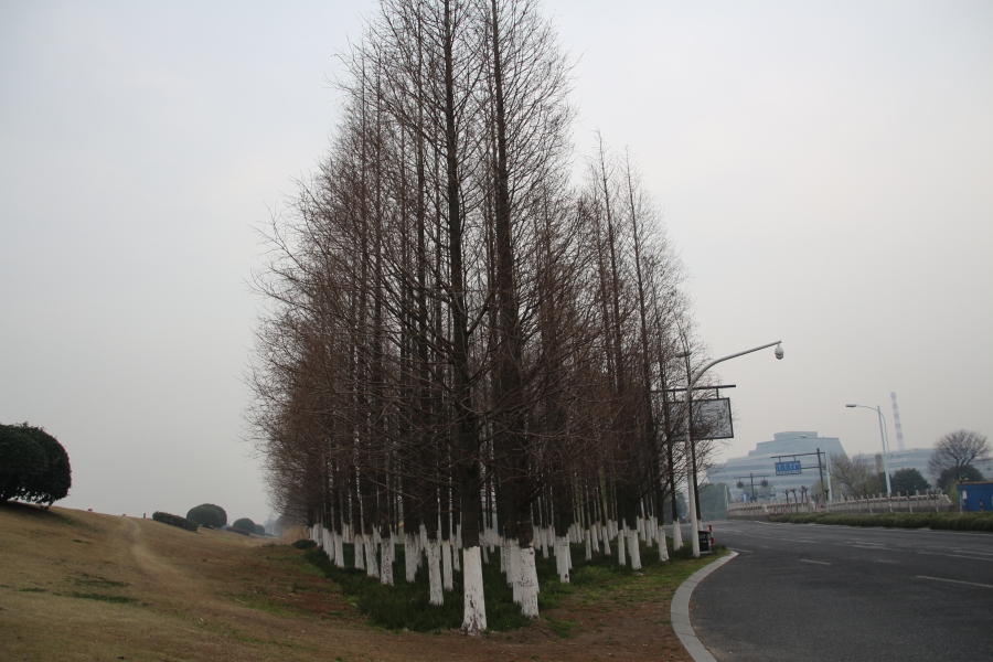 路边好风景