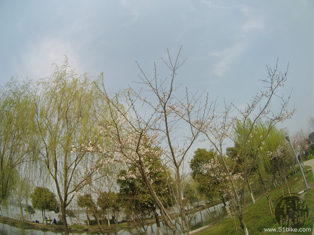 南湖-植物园 踏春062.jpg
