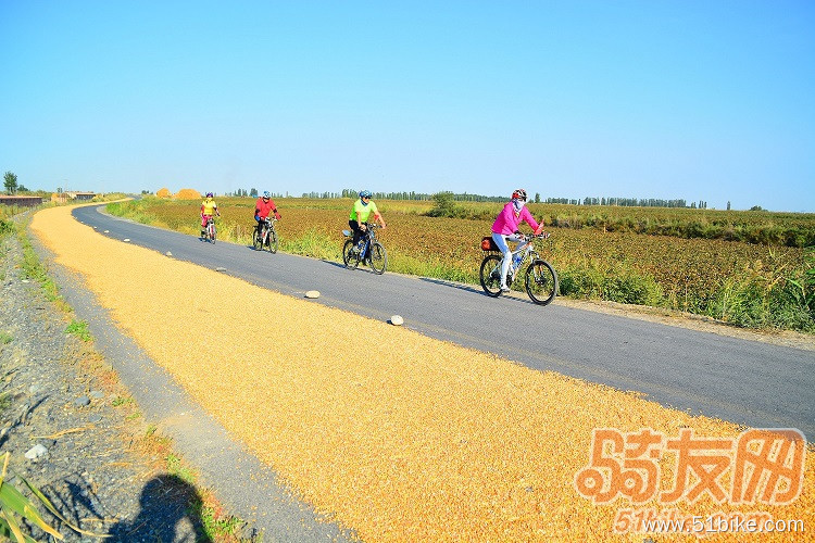 途中的小路