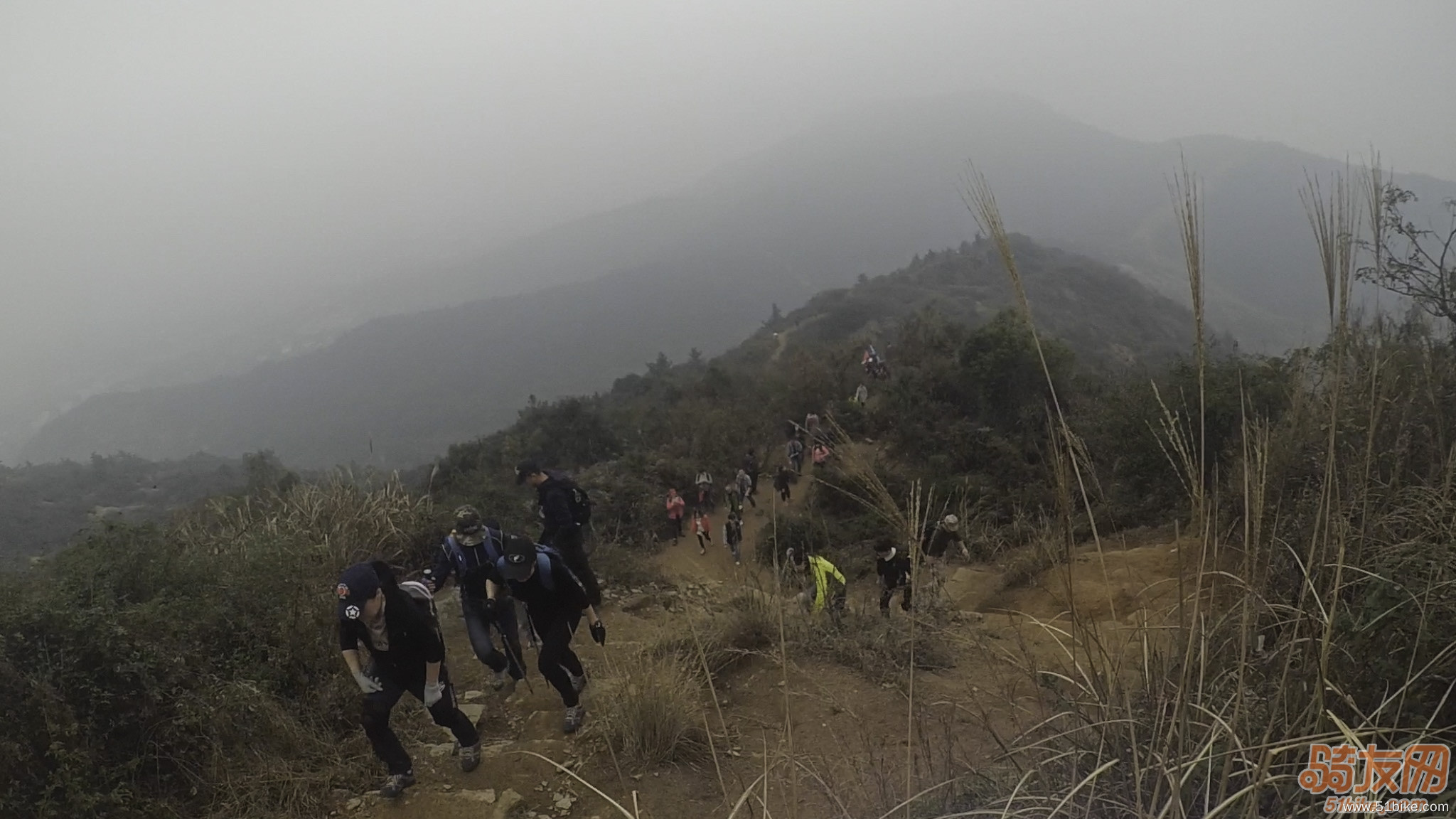 周末人山人海的登山者.jpg