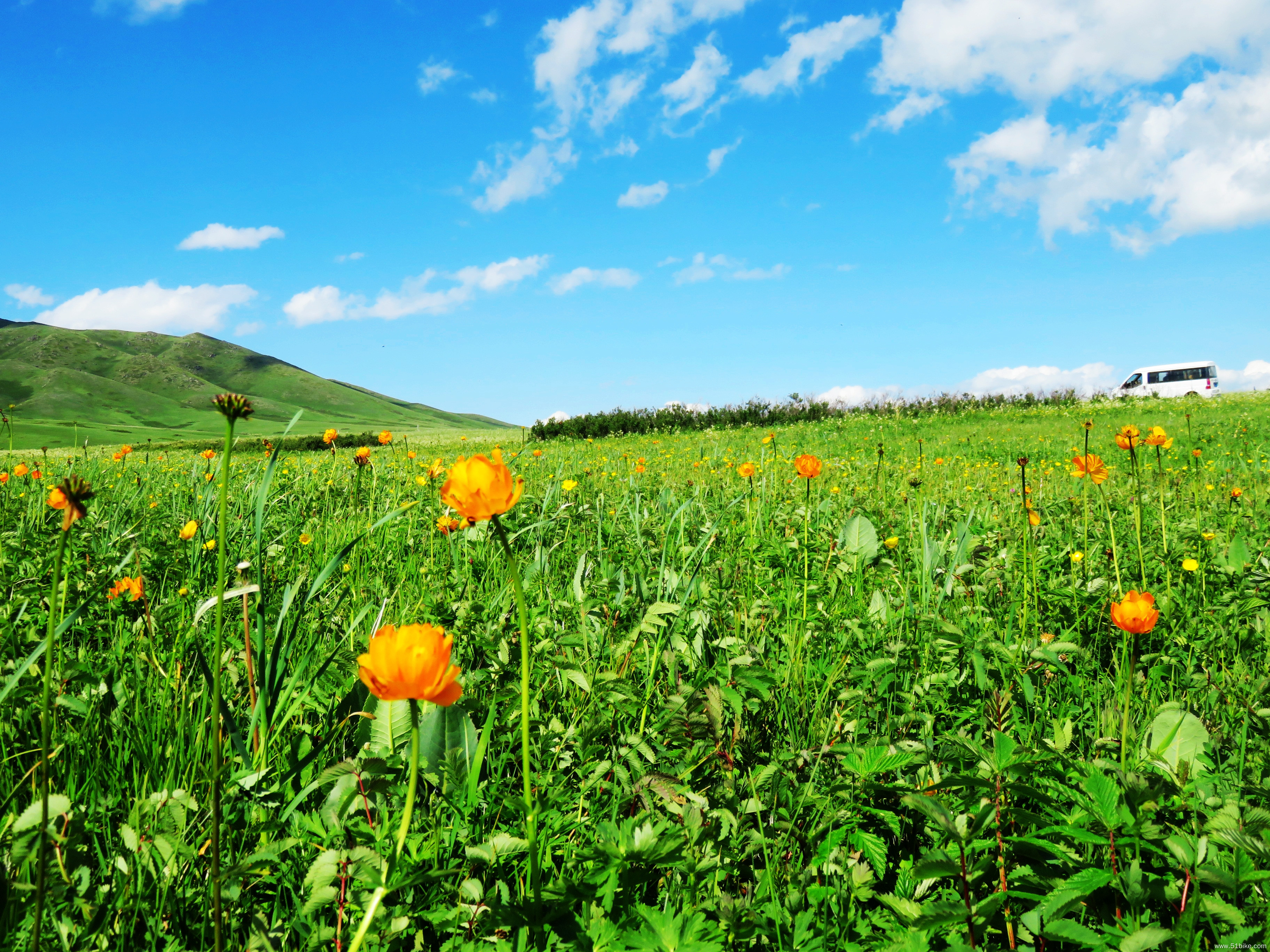 云上草原,天边净土-----快乐群17人骑行塔城,达因苏纪实