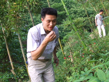 这就是彪哥,他带我们在村里转转,顺便再吃点野果