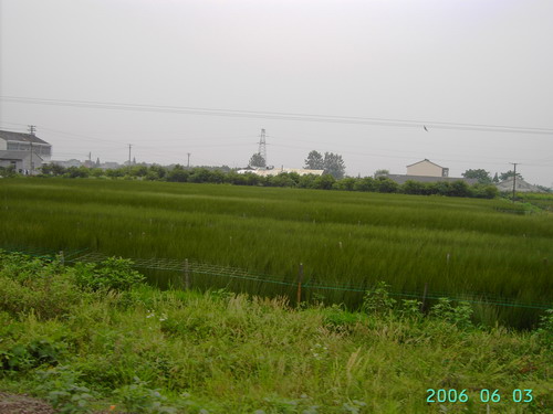 PICT0921.JPG