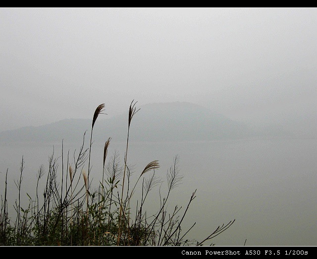 大雾笼罩会稽湖