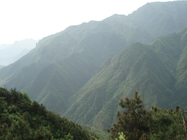 高山流水