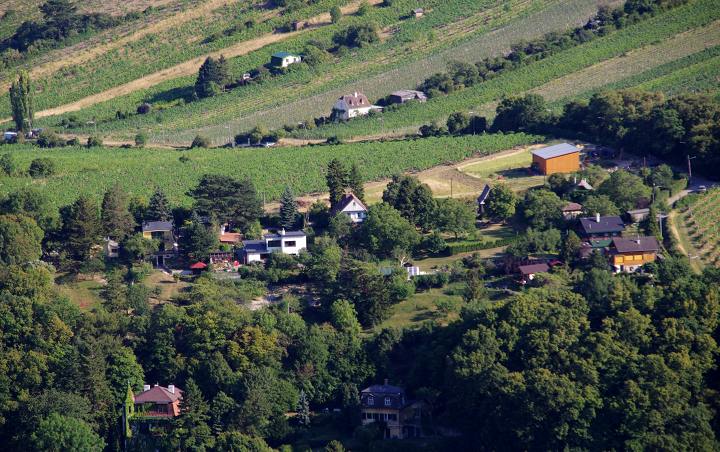 维也纳森林山坡上的葡萄农庄