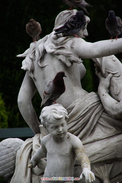 雕塑与鸽子