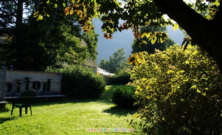 第二天出发前在酒店院子里的风景