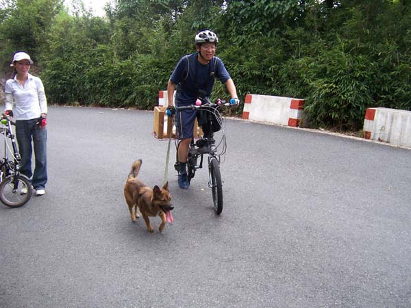 偶来拉你上去