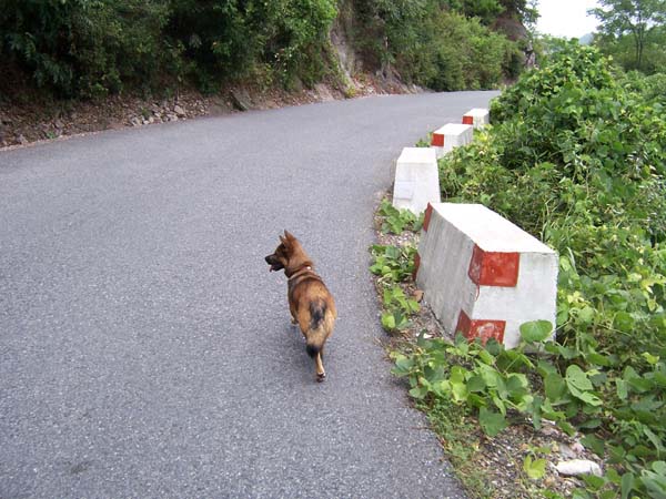 下坡胜似闲庭信步