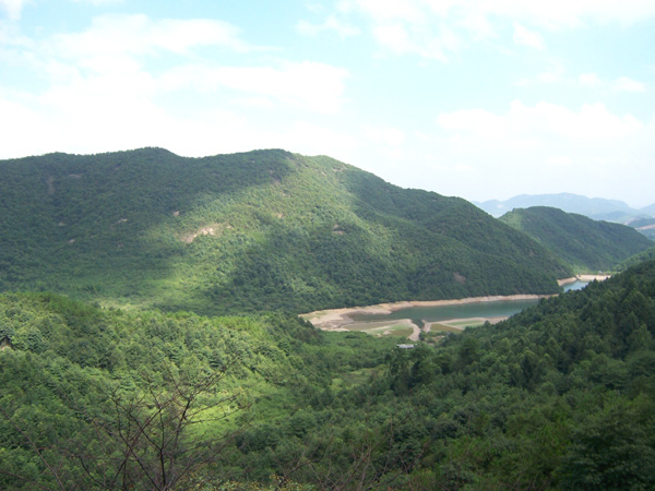 阳光真不错,美景啊