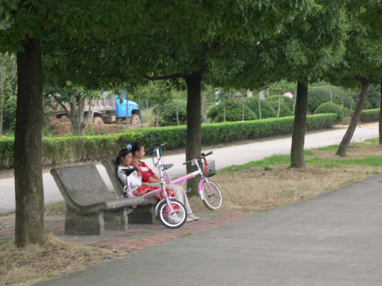 孩子与单车