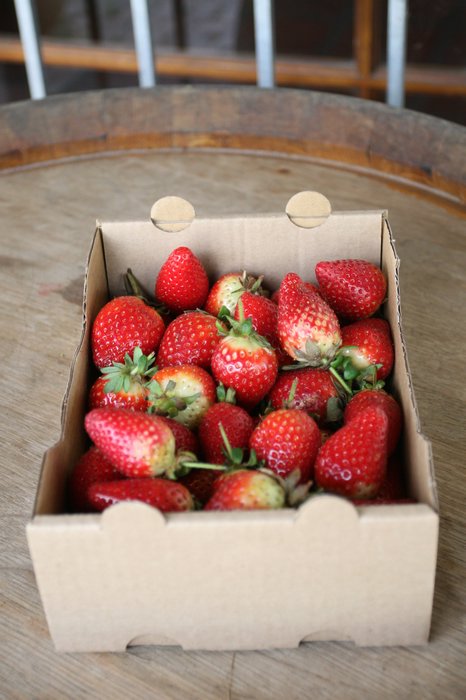 刚采摘的草莓,15兰特一盒.