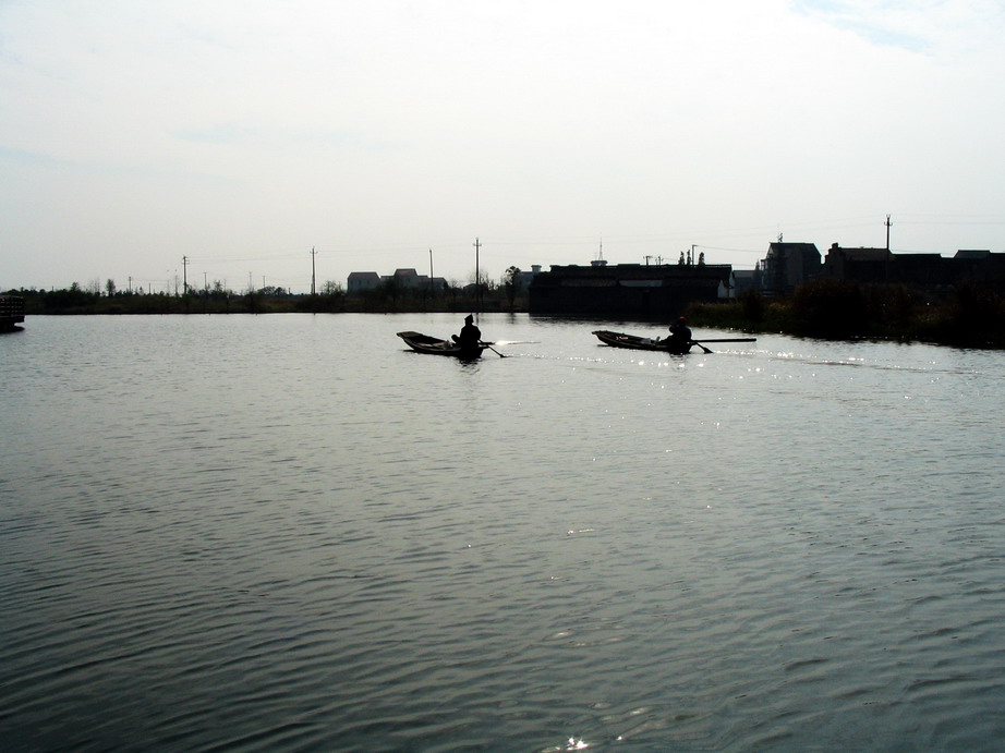 渔民们划着桨，手把着舵，回家吃饭
