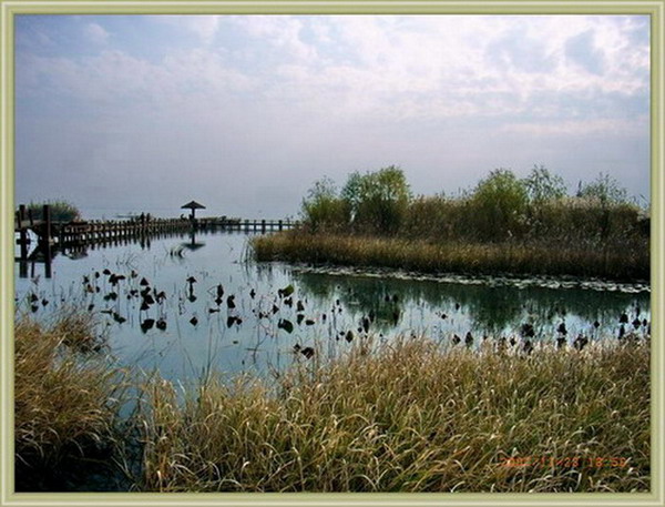 苏州太湖生态公园4