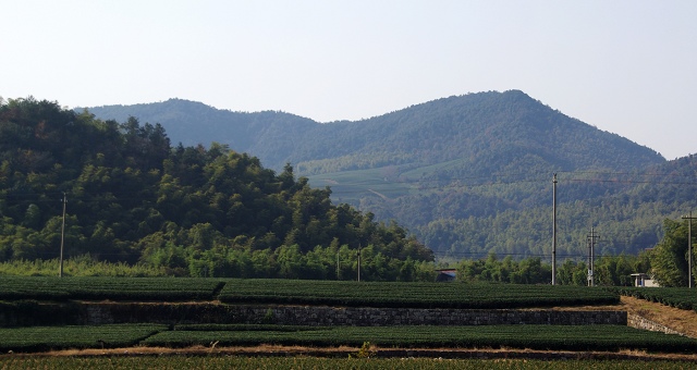 边挖野菜边看风景