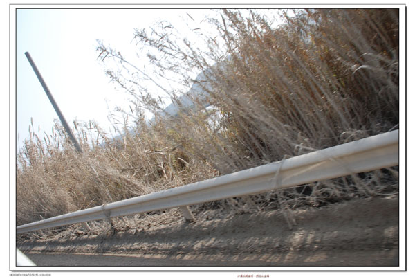 边上的泥泞路，证明这20大米省的有点亏，因为这高低不平的路，对车后放的单车表面划上很厉害，还有速度很慢 ...
