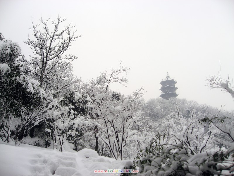 雪中蕺山-1.jpg