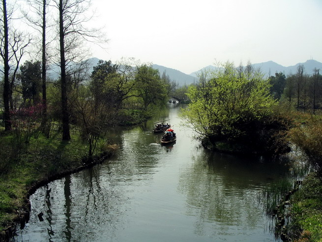 穿梭在湿地的小船