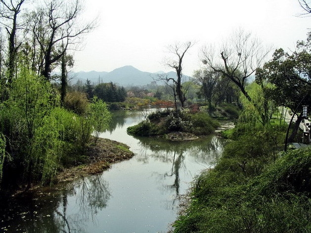 沿杨公堤都是湿地公园