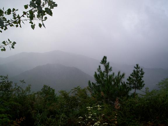 我早上6：30出发时，东白山笼罩在雨雾中