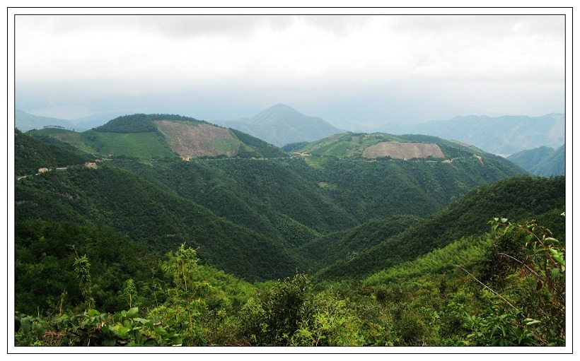 路在山中游