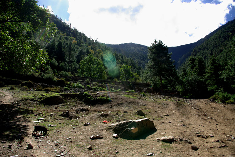 西当进山点