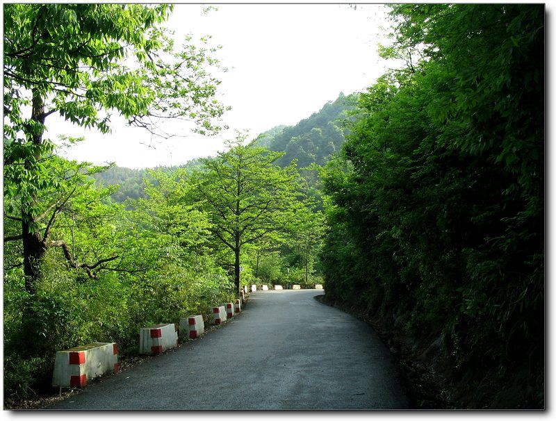 山里的路也和大山是那么的融洽，