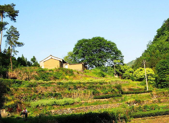 余晖下的村落