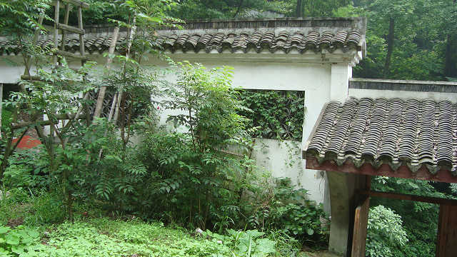 090623－07绍兴鸟窠禅寺后院.JPG