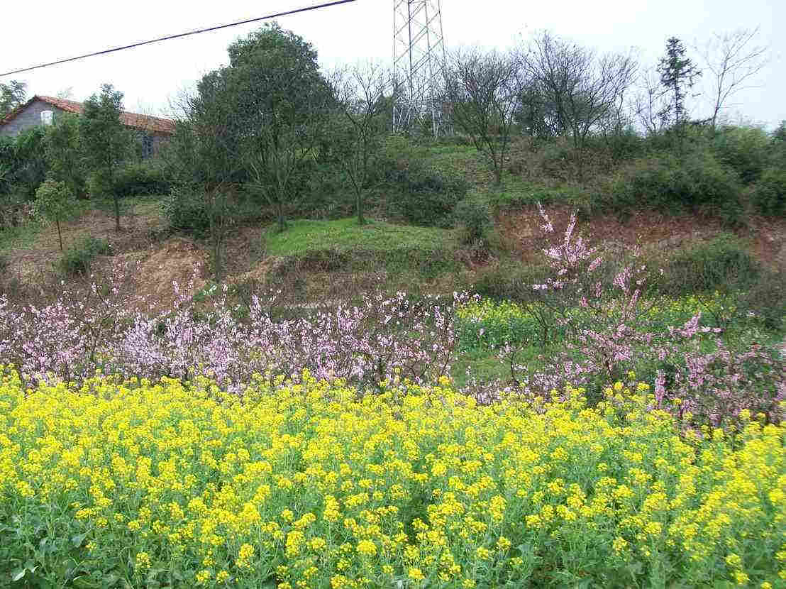 车过丰惠东溪