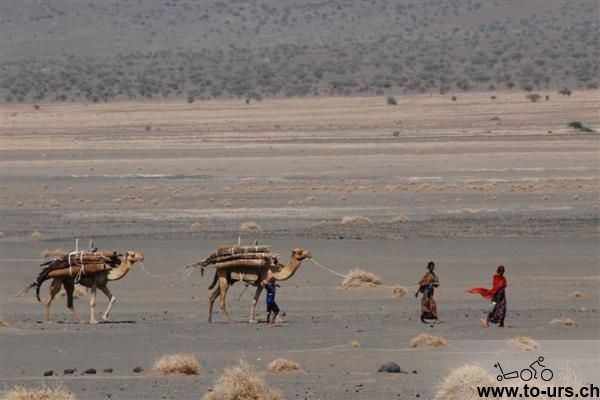 靠近索马里的游牧民