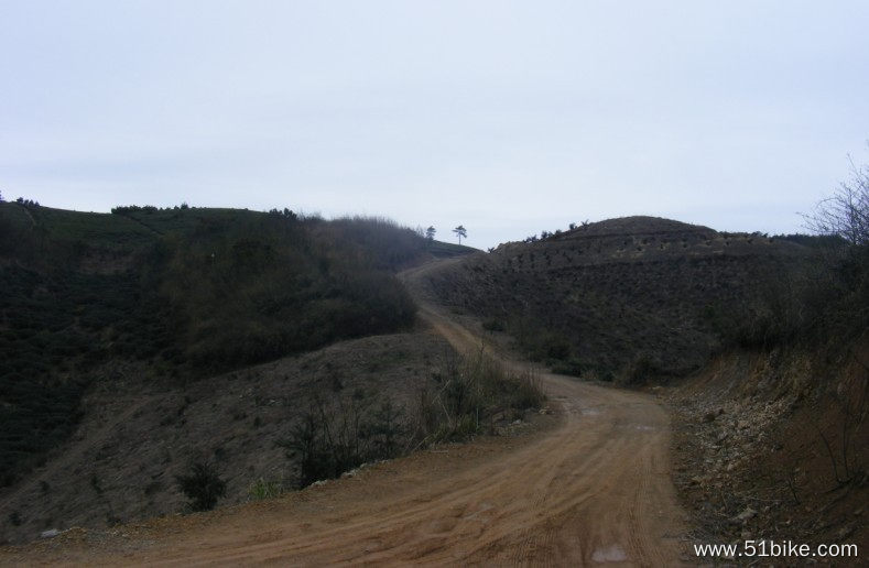 纯山路.jpg