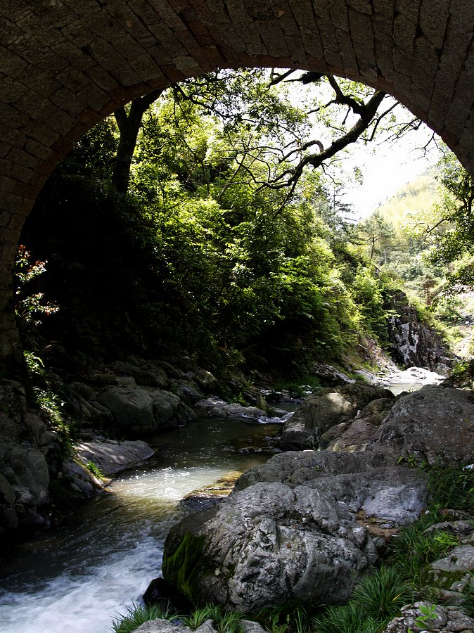 桥洞风景