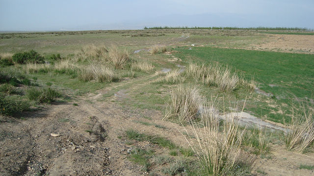 野路，到处是水