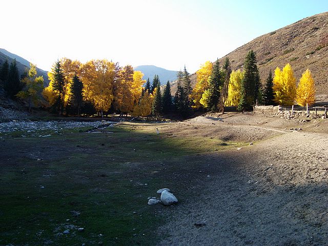 清晨的可可托海：额尔齐斯河大峡谷风景区