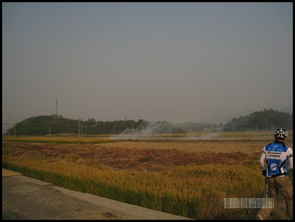 就是秋天的味道